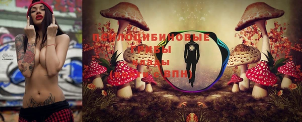 гидропоника Беломорск