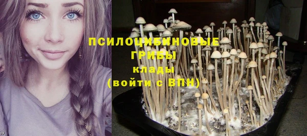 гидропоника Беломорск